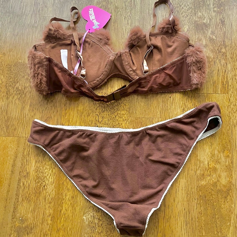 😱 New Teddy Bear Bra and Panty Set size XL - Picture 2 of 2